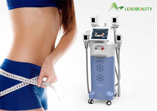 Buy cheap Best selling low price amazing effect distributors wanted slimming machine cryolipolysi fat freezing machine from wholesalers
