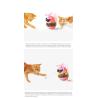 Buy cheap Relieve Anxiety Track Cat Tumbler Toy / Automated Laser Pointer Cat Toy from wholesalers
