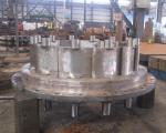 Horizontal Kaplan Hydroelectric Turbine Generator 6300V Adjustable Small Kaplan