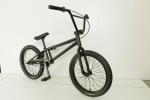 20" Mini BMX Freestyle Bicycle Steel Frame Single Speed
