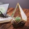 Buy cheap Hanging Flower Glass Homeware Succulent Plant Black Gold Geometric Glass Terrarium from wholesalers