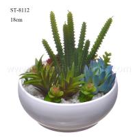 Buy cheap Mini Faux Succulent Cactus Aloe Potted Plant Arrangements Decorative Assorted product