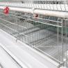 Buy cheap 2.2m Poultry Farming Cage System , 9 Tiers Battery Cage For Layers Rose from wholesalers