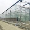 Buy cheap Hydroponics Tomato Cucumber Flower Film Arch Automatic Multispan Glass Greenhouse from wholesalers