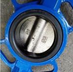 Sell CF8 Di Ci EPDM PTFE Strong Acid Ductile Iron Lever Operated Wafer Butterfly