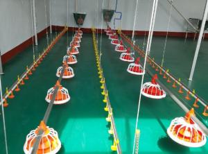 Wholesale Broiler Chicken Layers Auto Feeding System Plastic Feed Pans from china suppliers