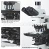 Buy cheap APO DIC Metallurgical Optical Microscope Halogen Lamp Illumination from wholesalers