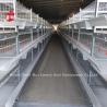 Buy cheap H Type Broiler Chicken Cage CE , Full Automatic Broiler Cage Equipment Adela from wholesalers