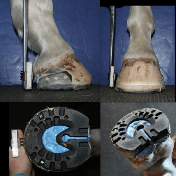 Two-Part Silicone Mold Putty For Dental Impression