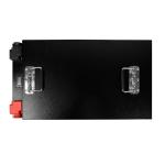 Solar Power Lifepo4 48V Lithium Battery 10kwh 100ah 24V 200ah For Golf Cart