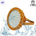 Atex Certified Explosion Proof Light IP66 Ik10 For Gas Station Oil Industry