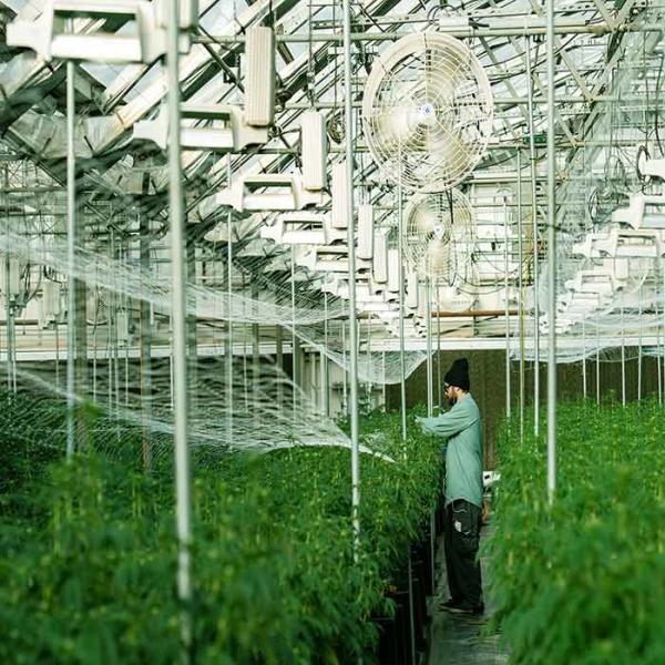 Buy cheap Galvanized Stainless Steel Greenhouse Solar Mounting Structure from wholesalers