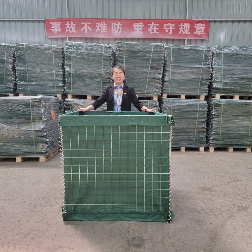 River Pretection Earth Filling Hesco Bastion Barrier Hot Dipped Galvanized Wire Gabion
