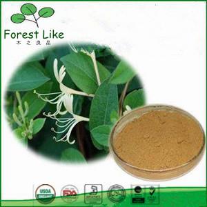 Superior Quality Featured Product 5%-98%Chlorogenic Acid Honeysuckle Flower