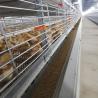 Buy cheap Poultry Farm Broiler Chicken Cage Galvanized Steel Automatic H Type Q235A from wholesalers
