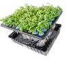 Buy cheap PE Foam Greenhouses Waterproof Cloning Collar Foam from wholesalers
