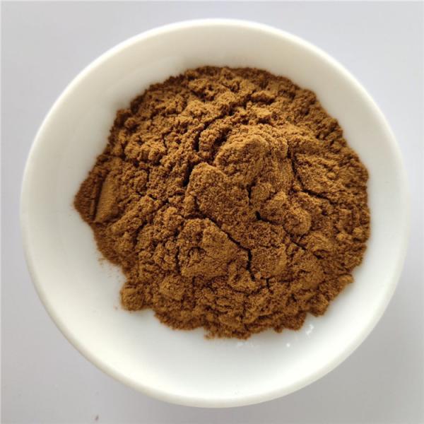 Buy cheap Wholesale Health Care Product Pure Natural Extract Rumex from wholesalers