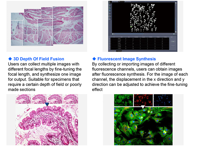 Research Scientific Full Auto Motorized Opto-Edu Binocular Biological Microscope A12.1095