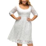 Fashion empire waist sexy women lace overlay plus size midi dress