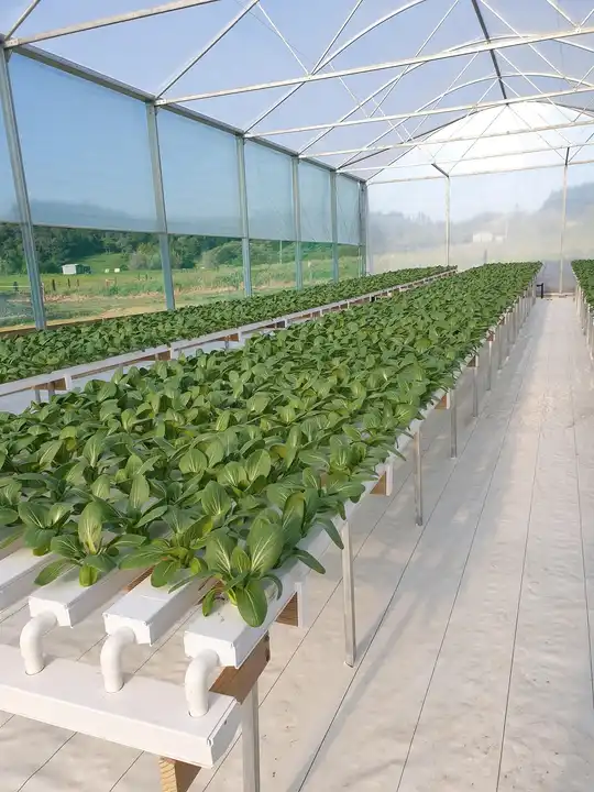 Greenhouse NFT Tubes Grow System PVC Pipe Hydroponic Channel 16-110mm Plastic Modling