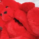 Lovely Plush Teddy Bear Slippers For Bedroom BV Certified