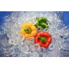 Buy cheap Professional Stainless Steel 25 Tons Tube Ice Machine for Industrial Applications from wholesalers
