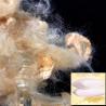 Buy cheap Antibacterial Soybean Fiber , Protein - Modified Polyvinyl Alcohol Fiber from wholesalers