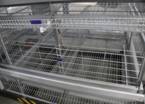 China H Type Chicken Battery Cages Egg Laying Chicken Cages ISO9001 Approved on sale