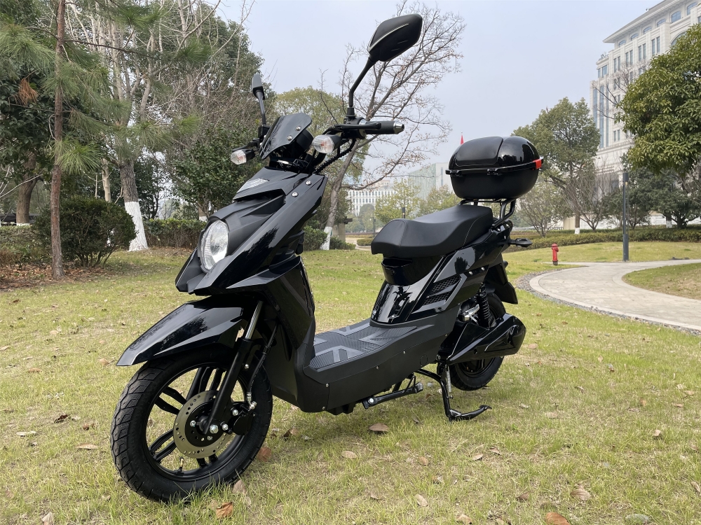 48V 800W Pedal Assisted Electric Scooter With LCD Display 20Ah Lead Acid Battery
