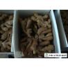 Buy cheap Spicy Organic Fresh Ginger 10 Kg / Box Own Plantation Japan Standard from wholesalers