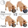 Buy cheap Silicone Slow Feeder Insert Sucker For Small Medium Larger Dog And Cat Eating from wholesalers