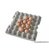 Buy cheap Egg Carton Drier from wholesalers