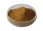 Owering Blood Pressure Ginkgo Biloba Bulk Powder