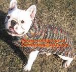 Dog snowflake pattern jacquard sweater, sweaters, crochet Pet Sweater, knit dog