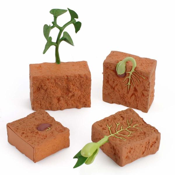 Buy cheap 4 PCS Farm Plant Life Cycle Model Figure Cake Toppers Learning Development Toys For Boys Girls Kids from wholesalers