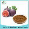 Buy cheap Fig Extract Powder/ Fig Extract for Herbal Medicine from wholesalers