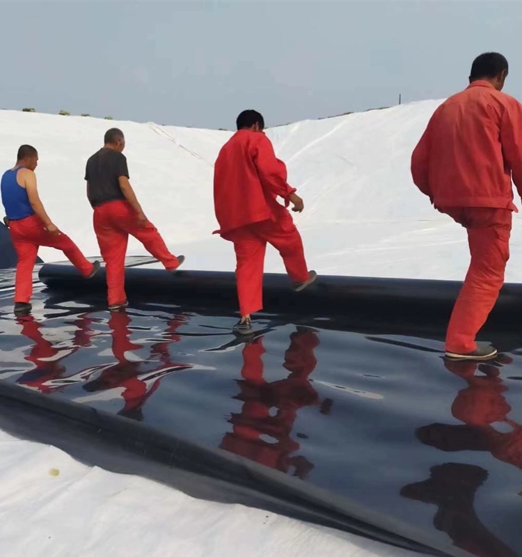 Geomembrane Fish Pond Liner for Landfill Sites Prefabricated Smooth Dam Lining Design