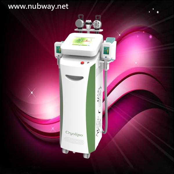 Buy cheap Touch Screen Radio Frequency Cryolipolysis Fat Freezing Slimming Machine For Body Shape from wholesalers