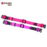 Buy cheap Dog Training Nylon Webbing Collar With Double D Rings Easy Washing from wholesalers