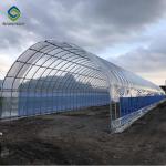 150 Micro PE Film 4m Single Tunnel Greenhouse For Flowers