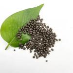 Diammonium Phosphate DAP 18-46-0 Granular Agriculture Fertilizer CAS 7783-28-0