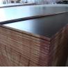 Buy cheap China film faced plywood in plywood, building formwork, construction shuttering plywood from wholesalers
