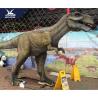 Buy cheap Giant Realistic Dinosaur Models Belly Breathing For Exhibition In Museum Coin Operated from wholesalers