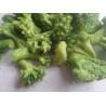 Buy cheap New product Healthy Dried Vegetables Snack Vacuum Fried Broccoli Snacks from wholesalers