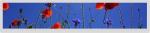 1920x360 Bar Type IPS LCD Lvds Interface 21.2" 30pin