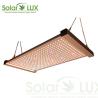 Buy cheap Horticulture Lighting 240Watts Quantum Board Led Grow Light from wholesalers
