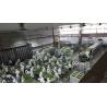 Buy cheap Automatic Bubble Fruit And Vegetable Apricot Washing Cleaning Equipment Line 800kg from wholesalers
