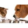 Buy cheap Siemens Motor Full Automatic Dog Food Pellet Making Machine for Food Beverage Demand from wholesalers