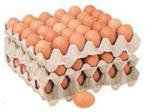 Machines For The Packaging Of The Eggs