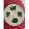 Buy cheap Dried Sea Lettuce Seaweed Ulva Lactuca Powder Umami Flavor Aonori Flakes Japanese Green Laver Seaweed Powder 100g from wholesalers